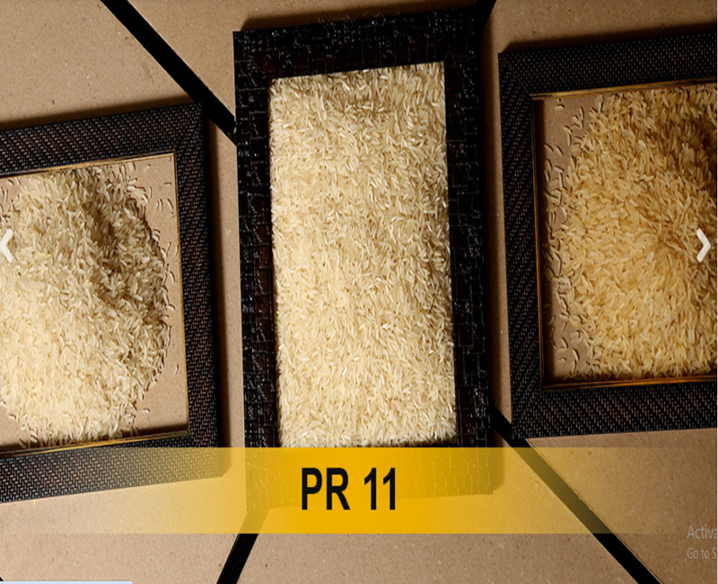 PR11 Basmati rice