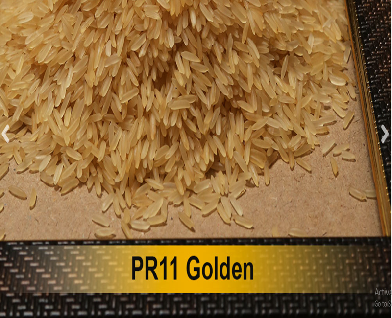 PR11 Golden Basmati rice