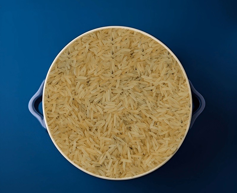 Sugandha Golden Rice