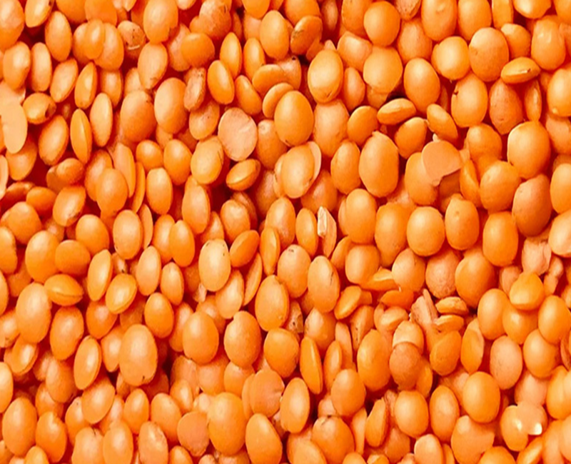 Red Lentil