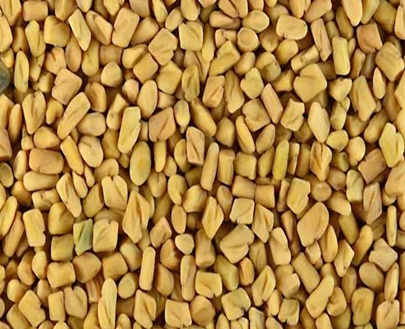 Fenugreek Seeds