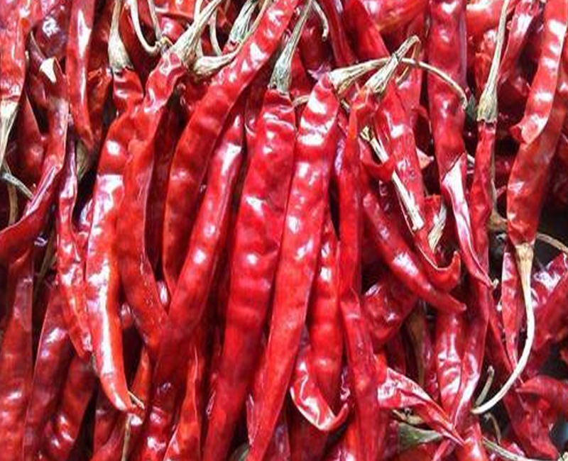 Red chilies