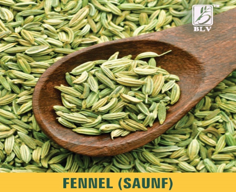 Fennel (Saunf)