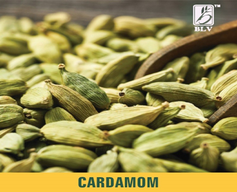 Cardamom