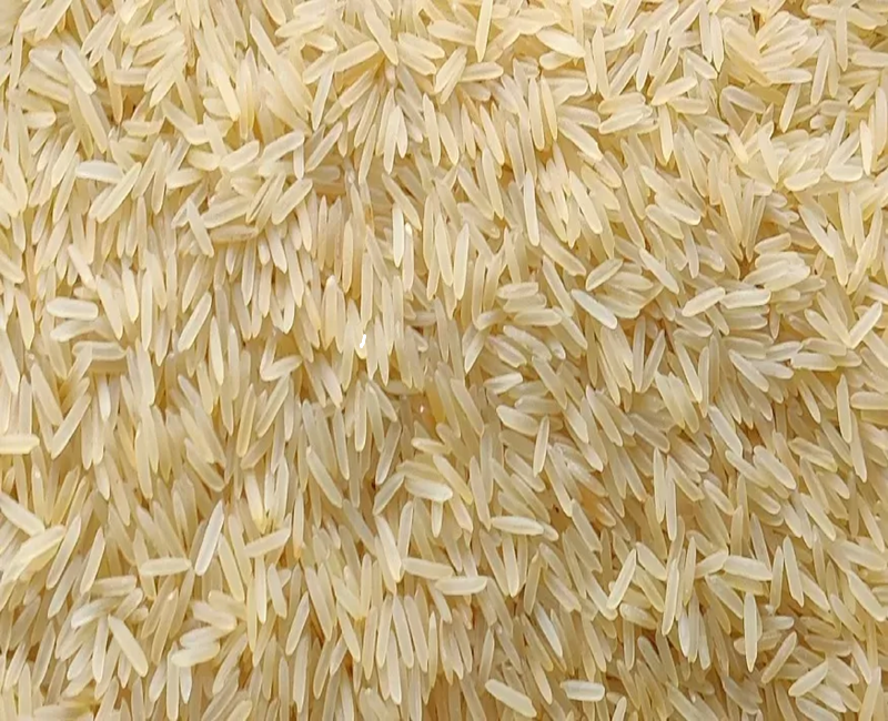 Sugandha Golden Sella Rice