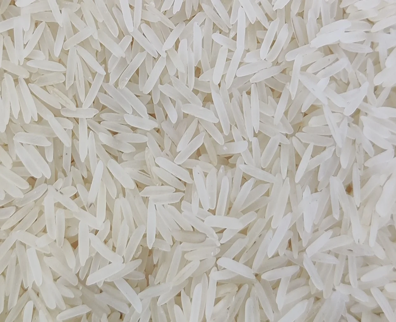 Raw Rice