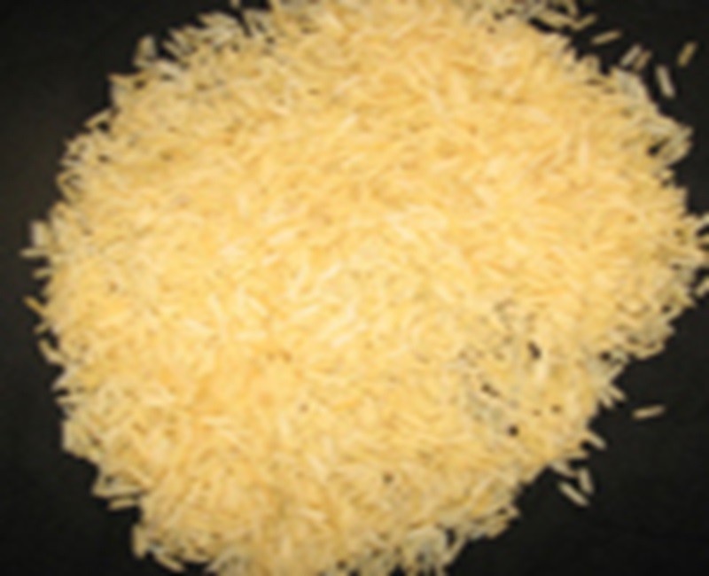 1121 Golden Rice