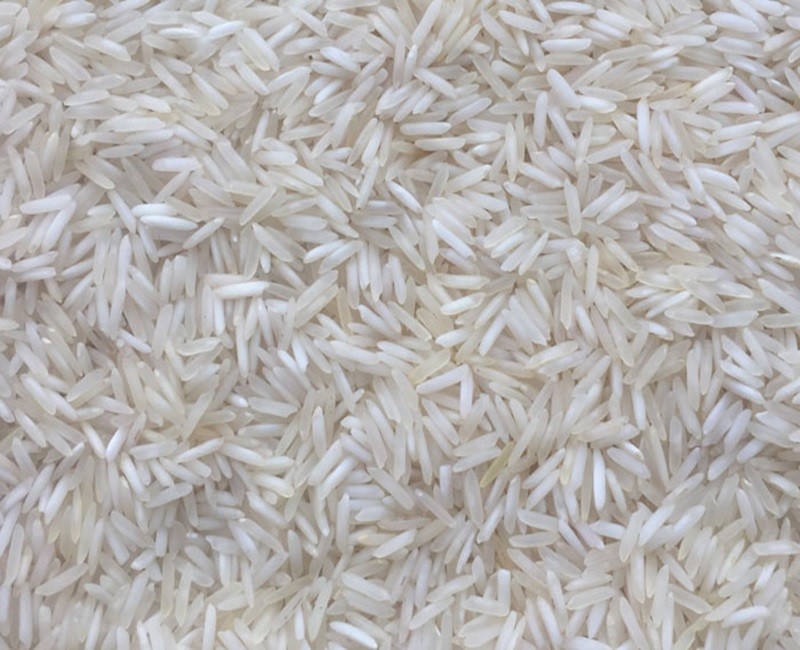 SUGANDHA RICE