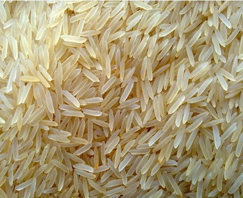 SUGANDHA RICE