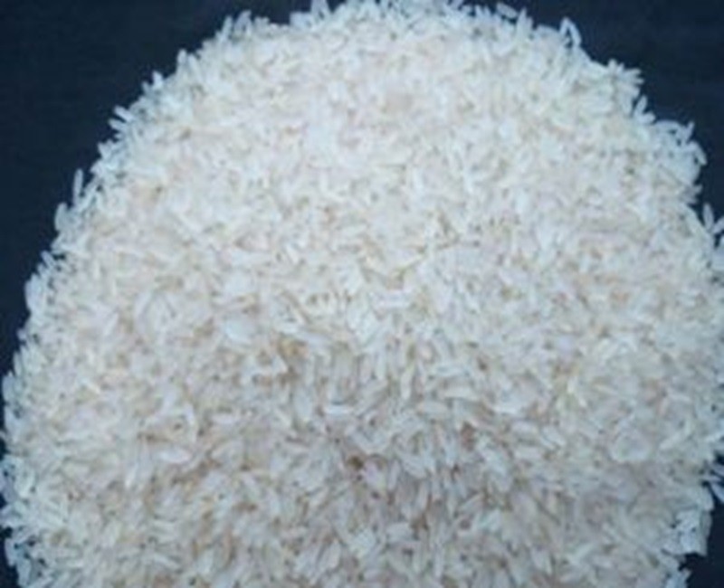 Gujarat 17 Rice