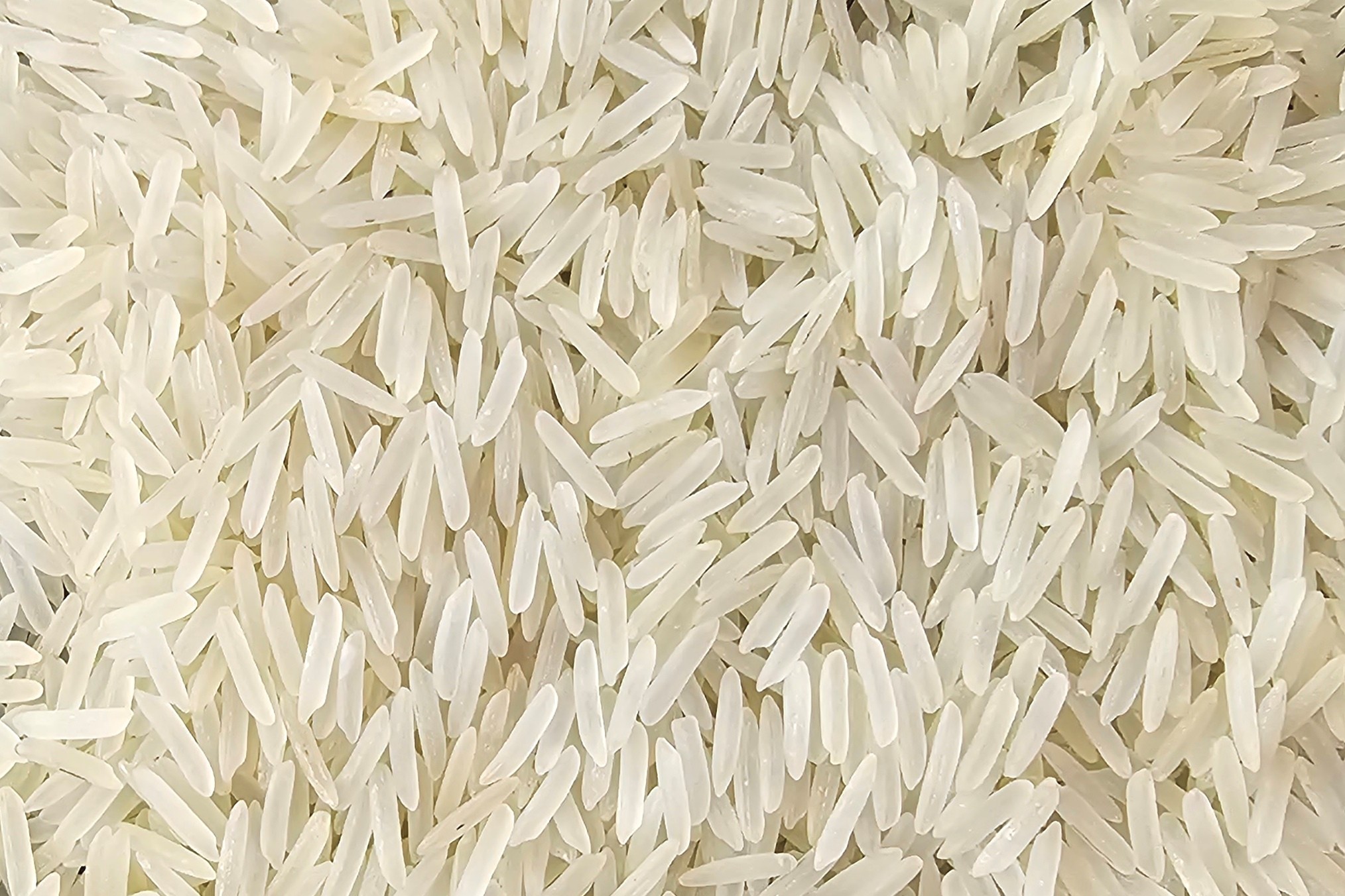 1509 Raw Basmati Rice
