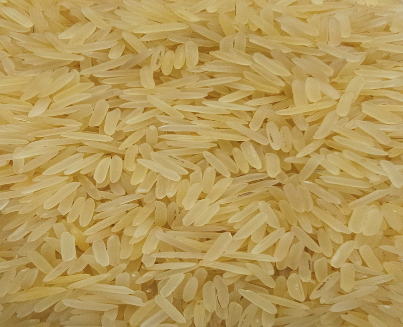 Sugandha Golden Sella Rice