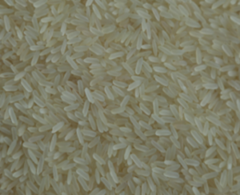 PR 106 Rice