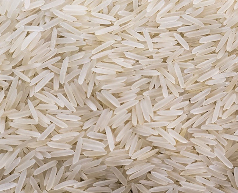 Pesticide-Free 1509 Creamy Sella