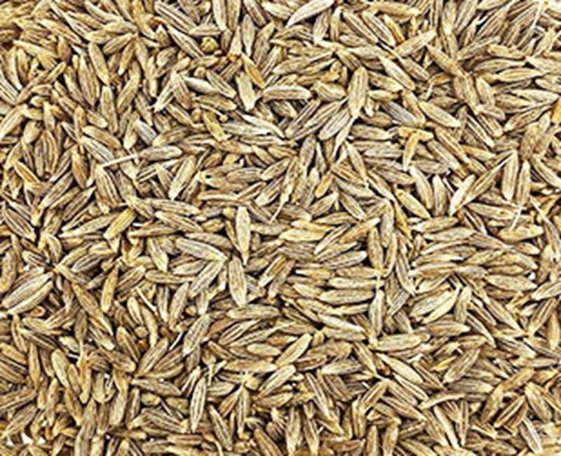 Cumin Seed (Jira)