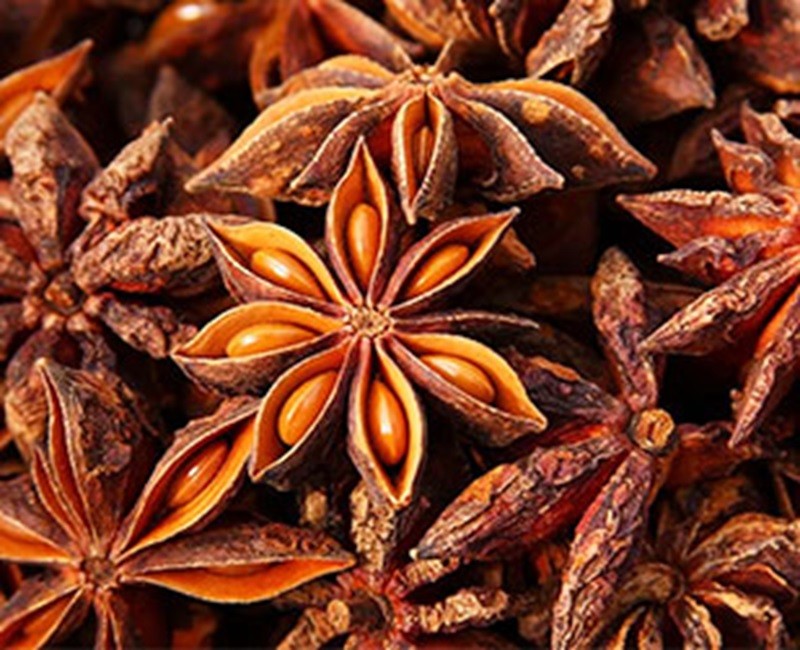 Star Anise (Tara Mouri)