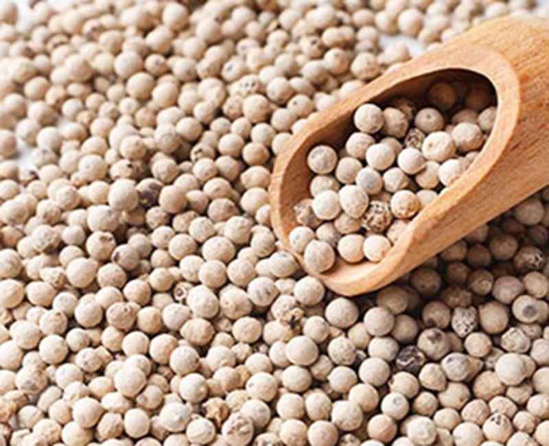 white pepper (Sa Morich)