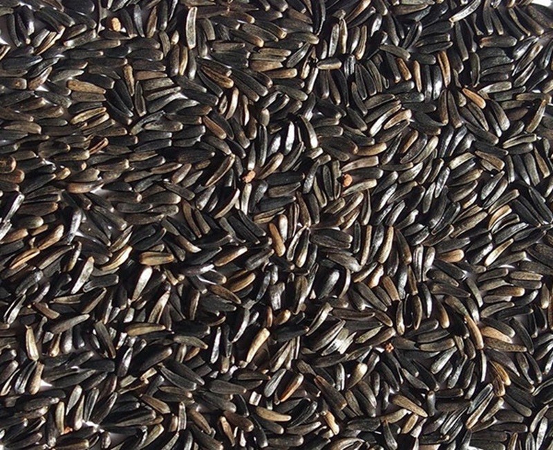Niger Seed