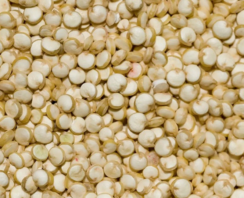 Quiona Seed
