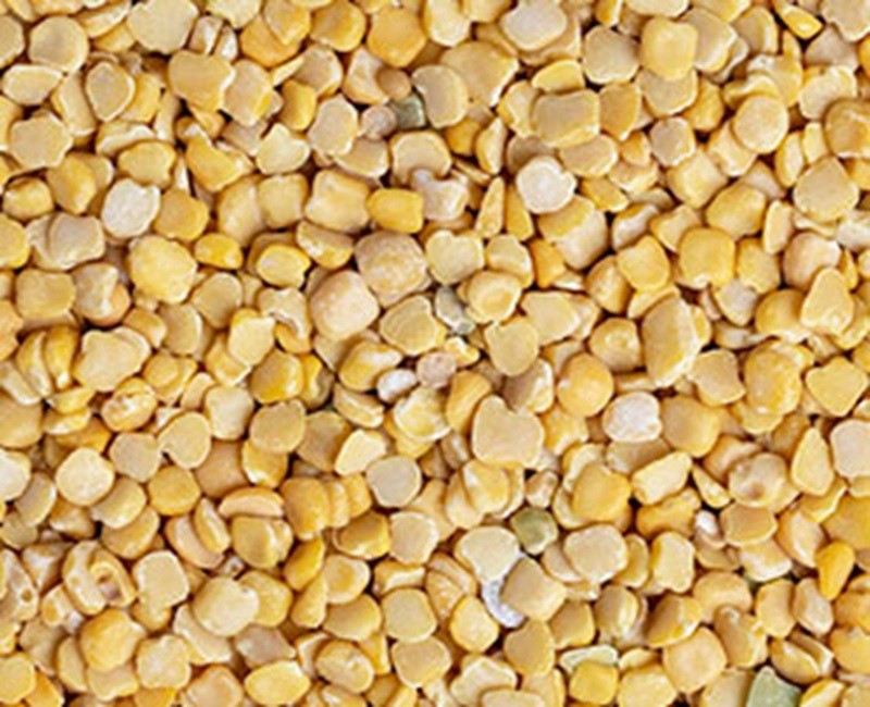 Grass Pea Dal (Kheshari Dal)