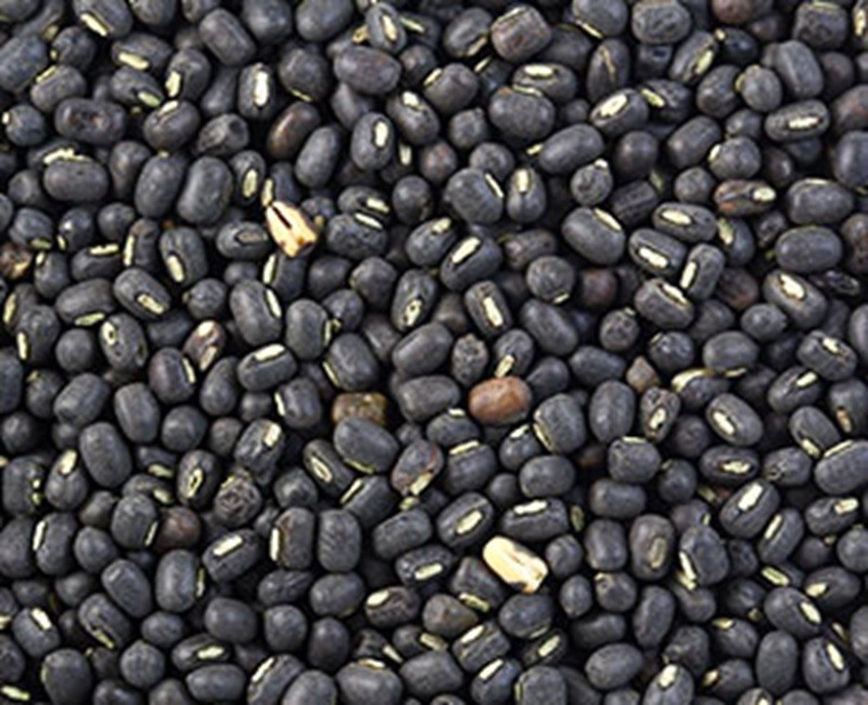 Black Gram (Urad Beans)