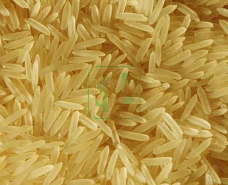 1401 Golden Basmati rice
