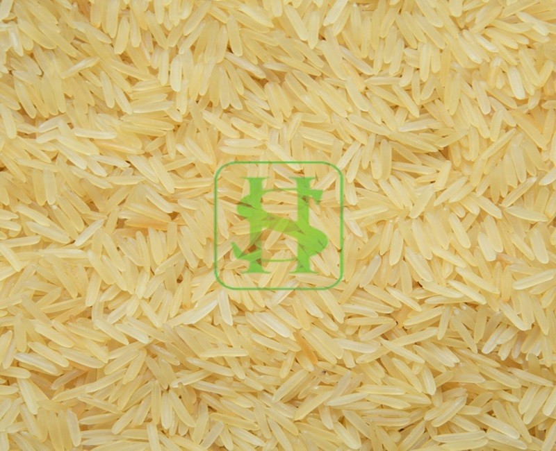 PR11 Golden rice