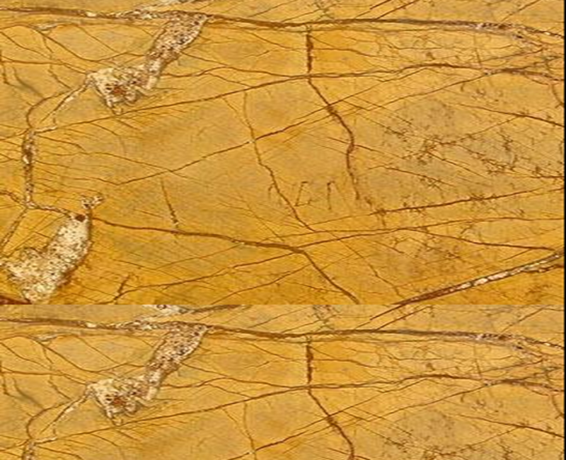 Rain Forest Gold