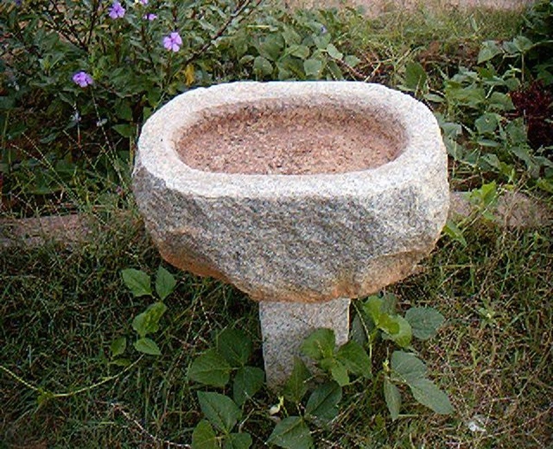 Bird Bath