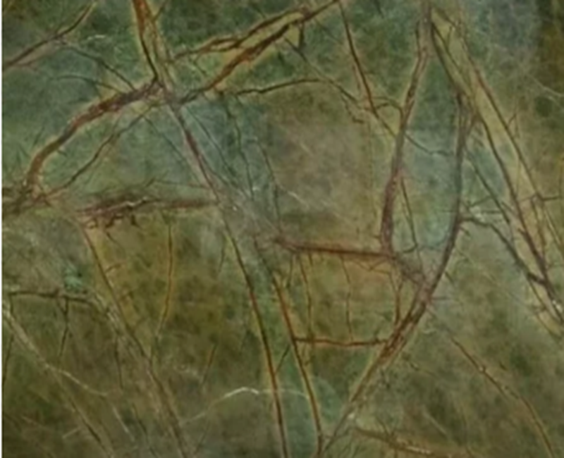 Rainforest Green
