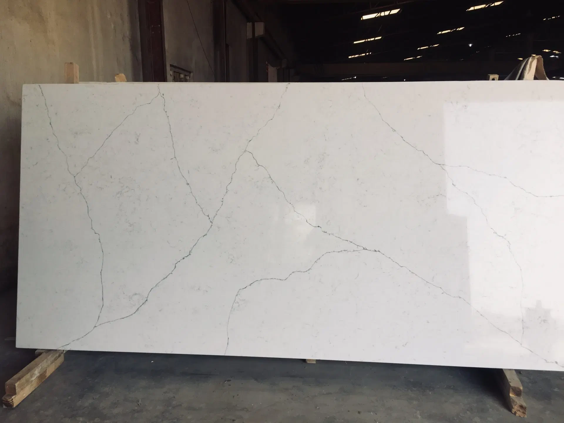 Carrara Venatio