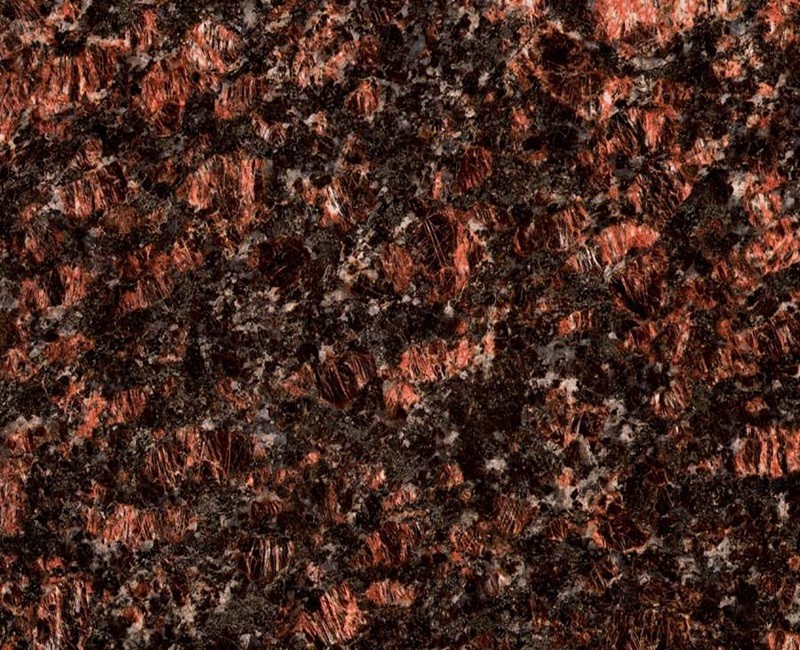 Indian Mahogany
