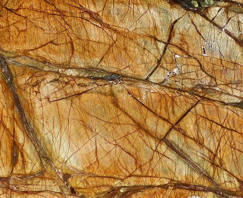Rain Forest Gold