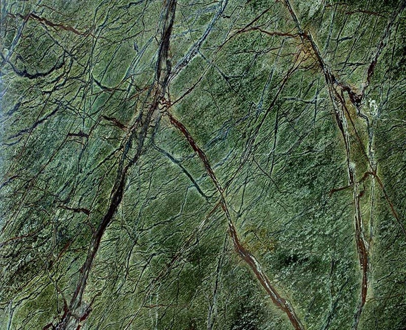 Rain Forest Green