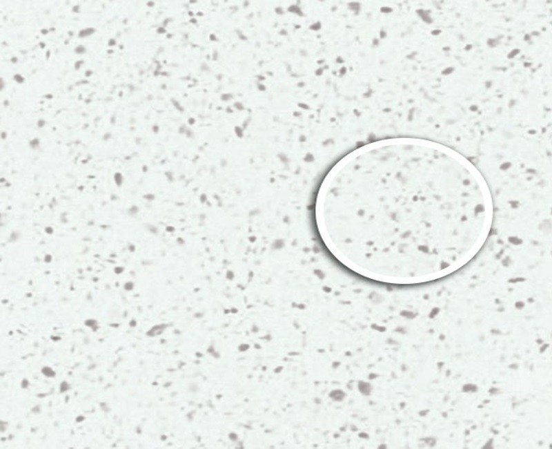GR 504