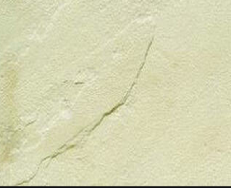 Gwalior Mint