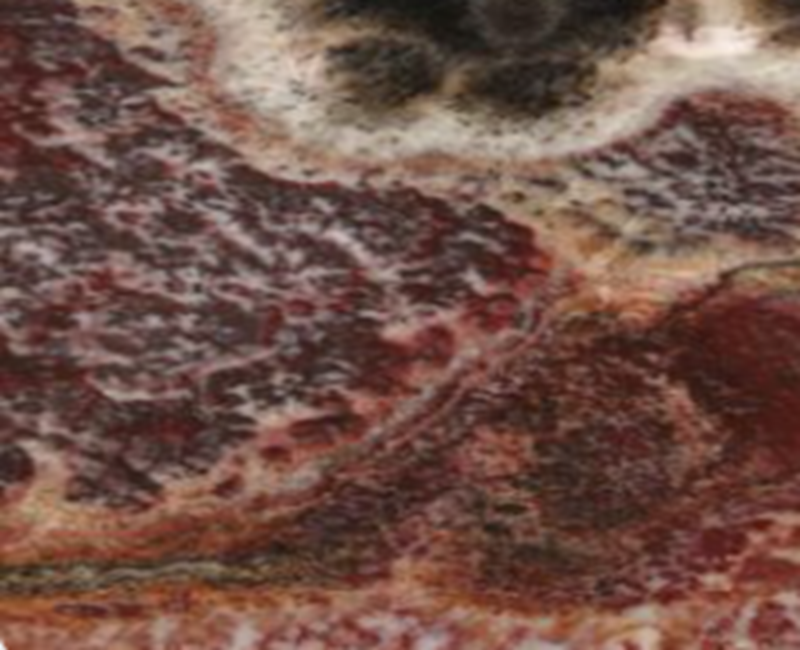 Onyx Fantastico CC