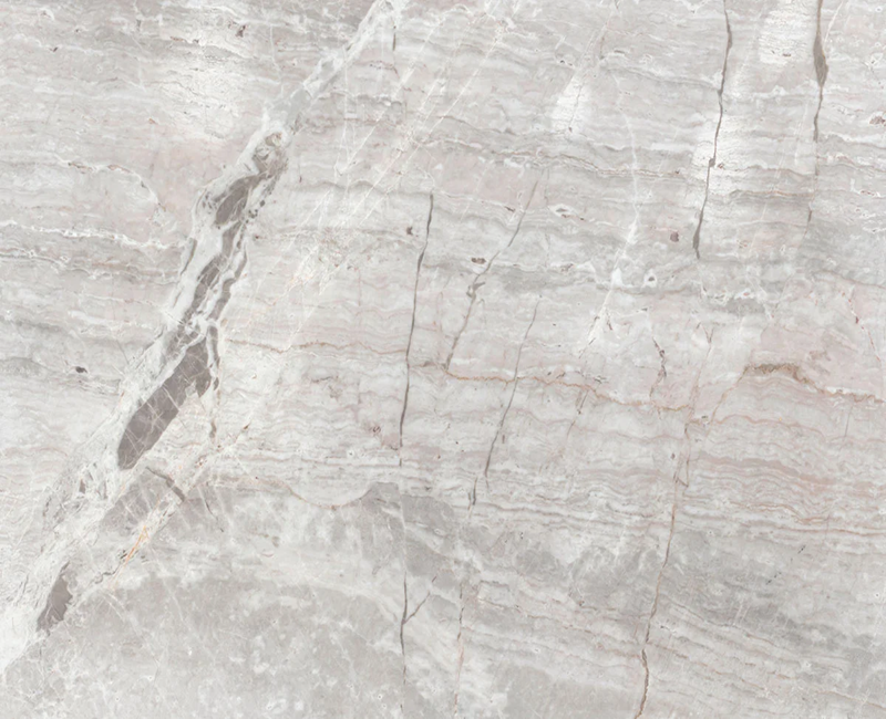 Mylasa vein cut