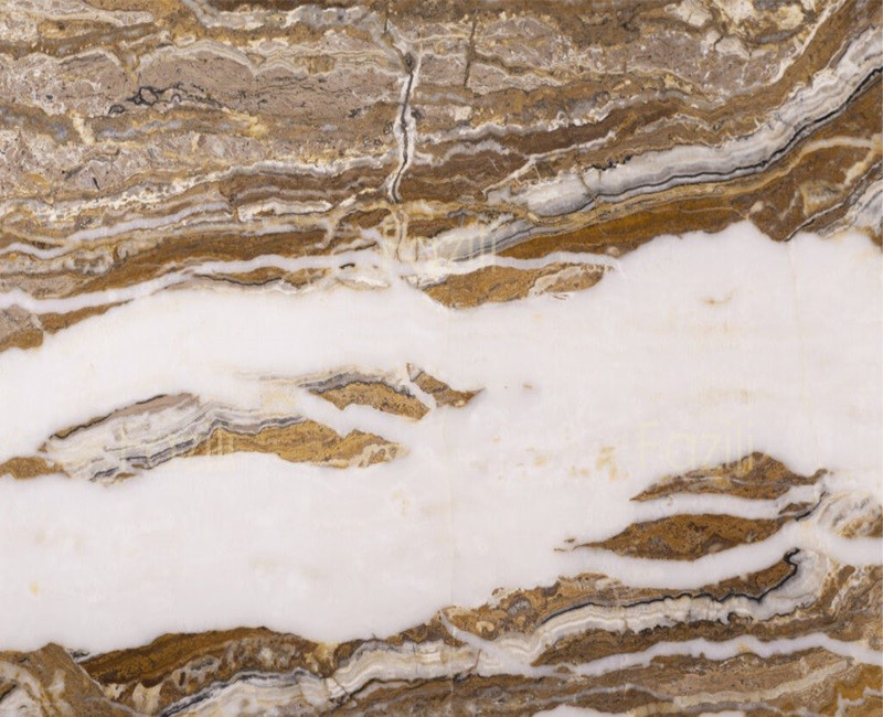 White Brown Traonyx