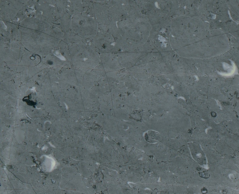 Atlantis Grey
