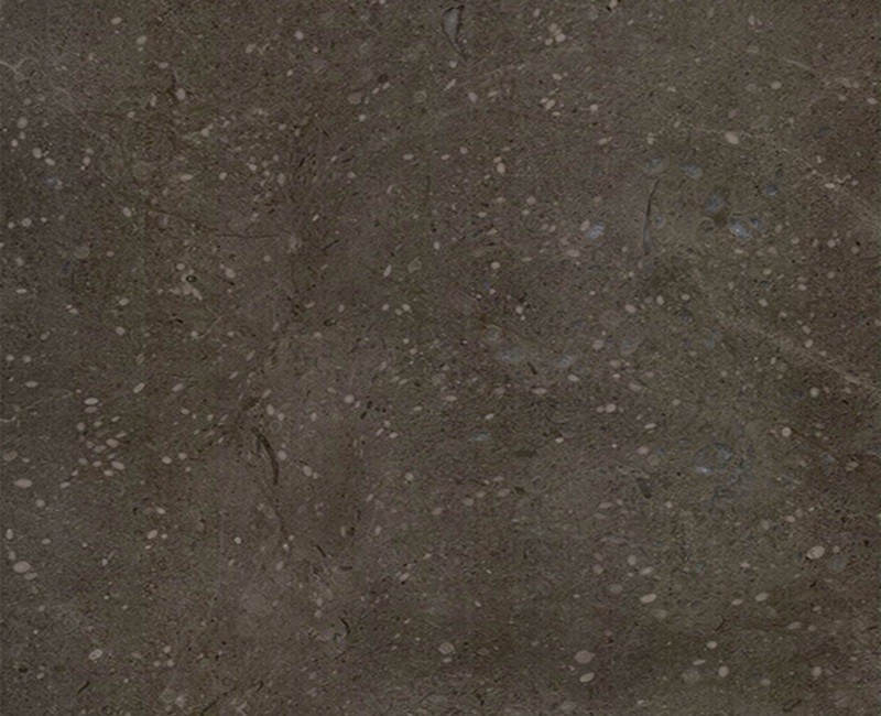 Vienna Grey