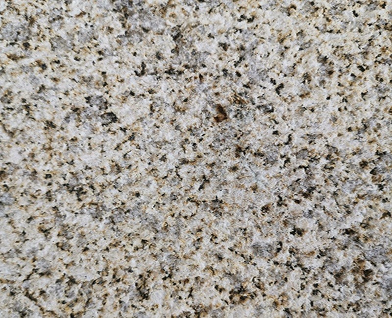 Golden Sesame 02