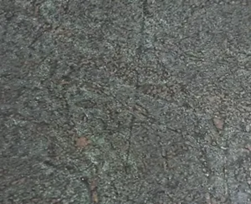 ALEXANDIRIEA