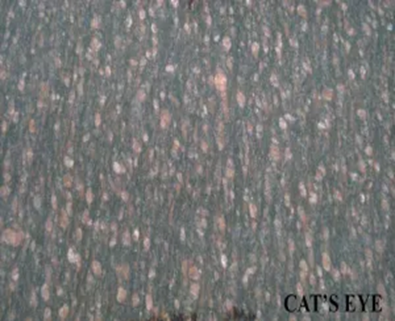 CATS EYE