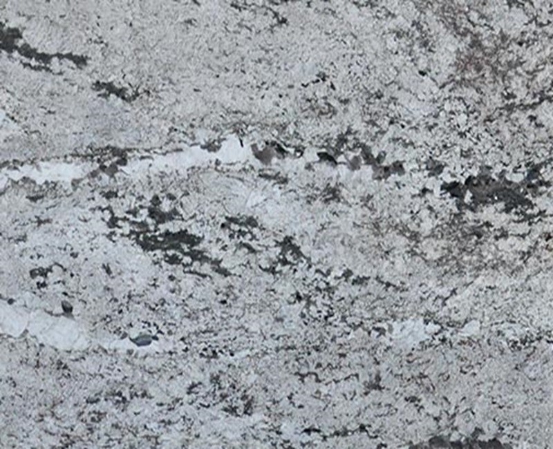 Delicatus White