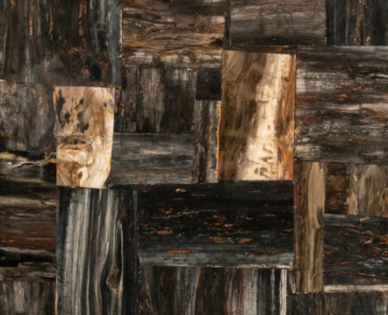 Fossils Slabs