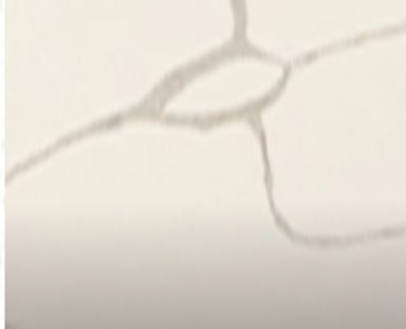 699be211159091771823633.png