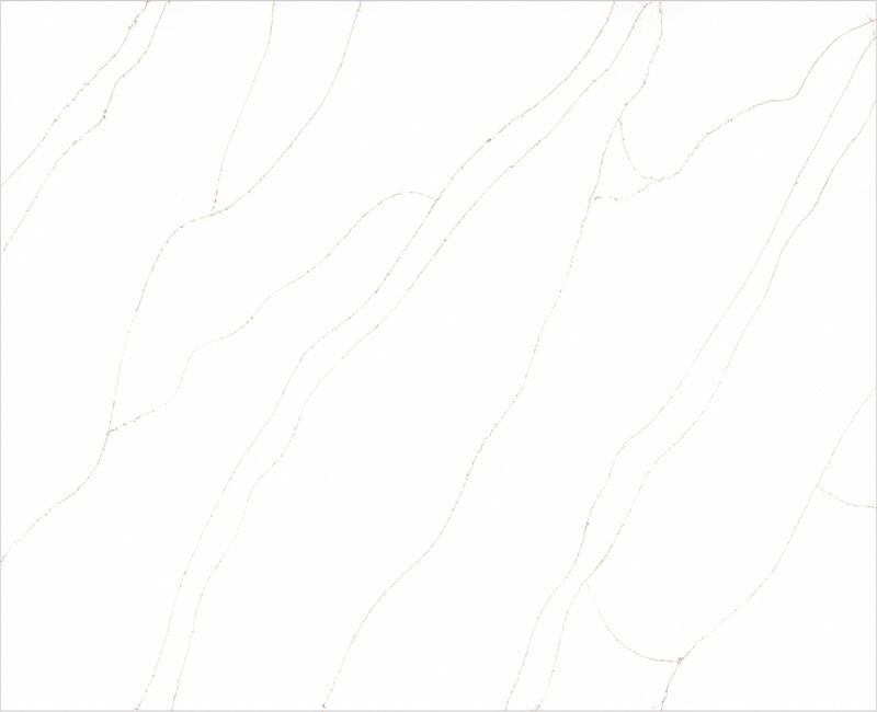 69a710fd858181772556541.jpg