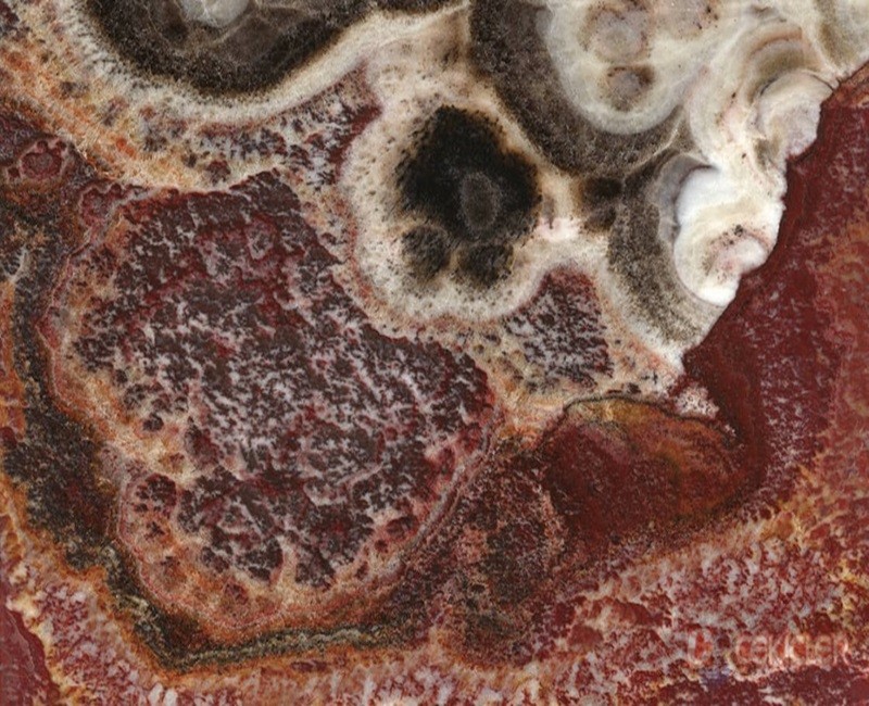 69cf5ffc084e31775198204.jpg