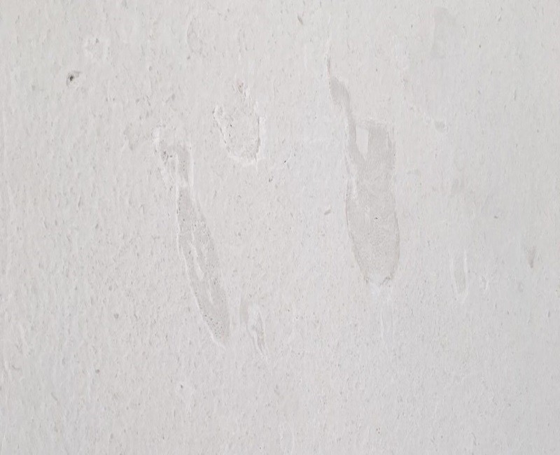 69d11aadae78b1775311533.jpg